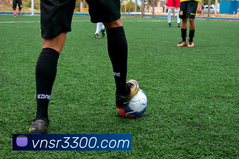 多彩内容专区